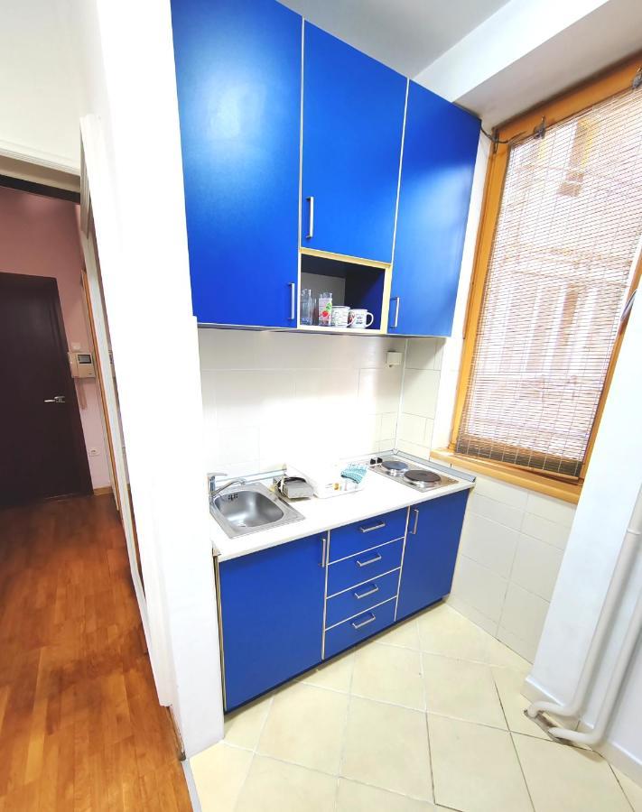 Appartement Magenta Vracar à Belgrade Extérieur photo